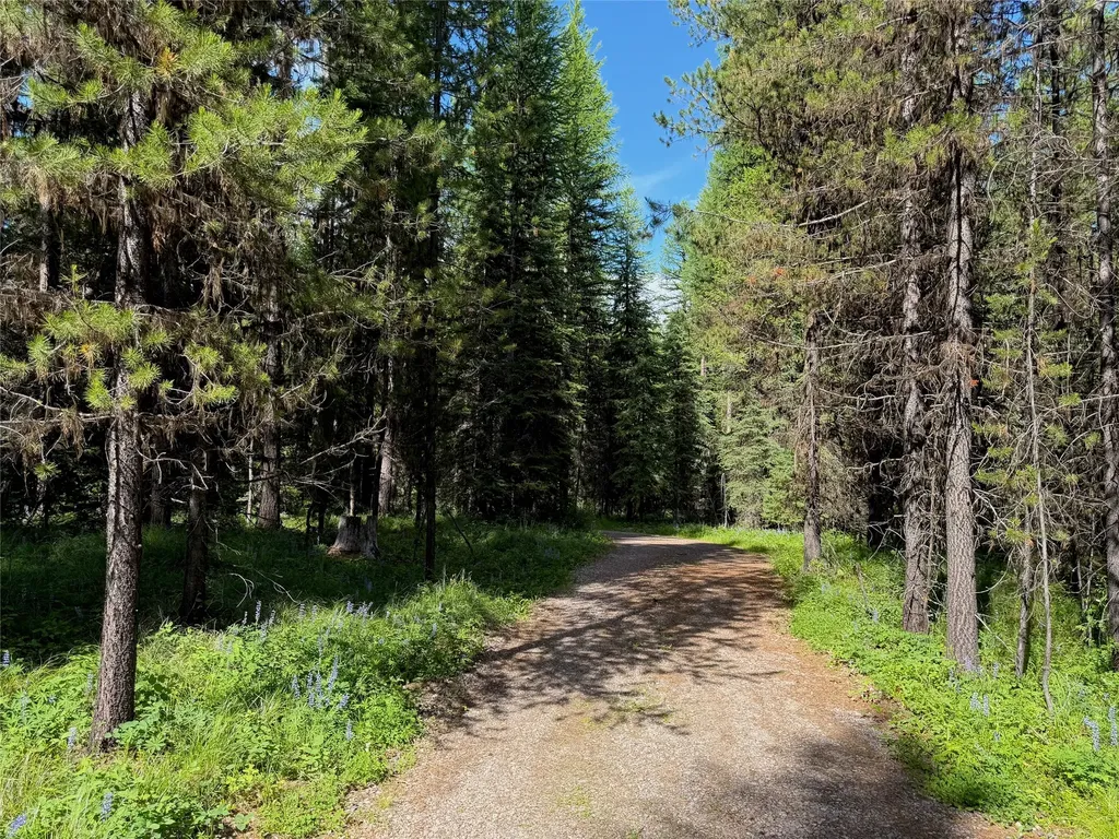 310 Moose Creek Road Polebridge MT 59928