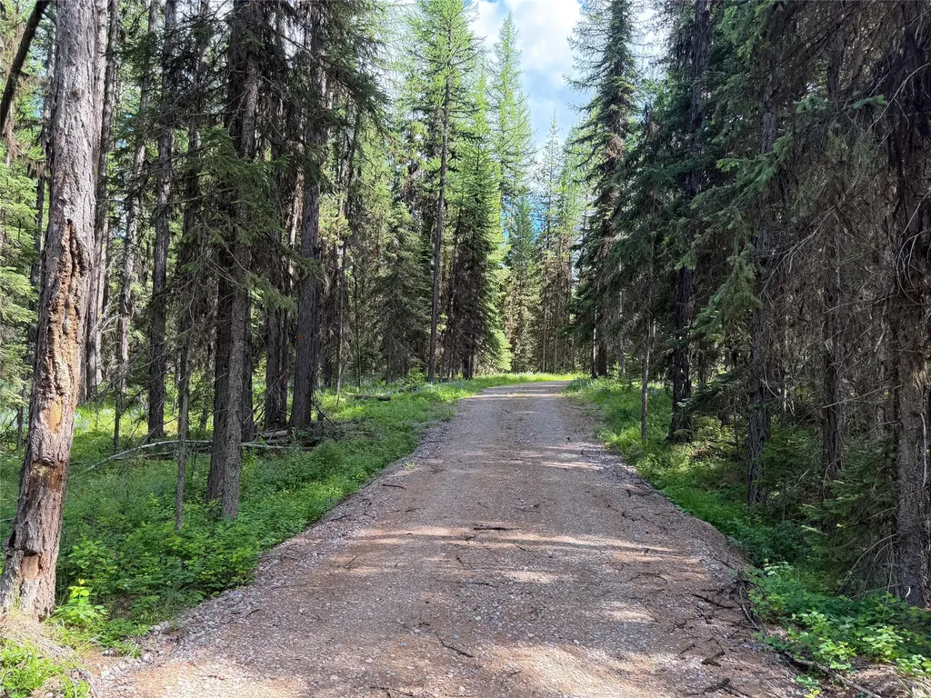 310 Moose Creek Road Polebridge MT 59928