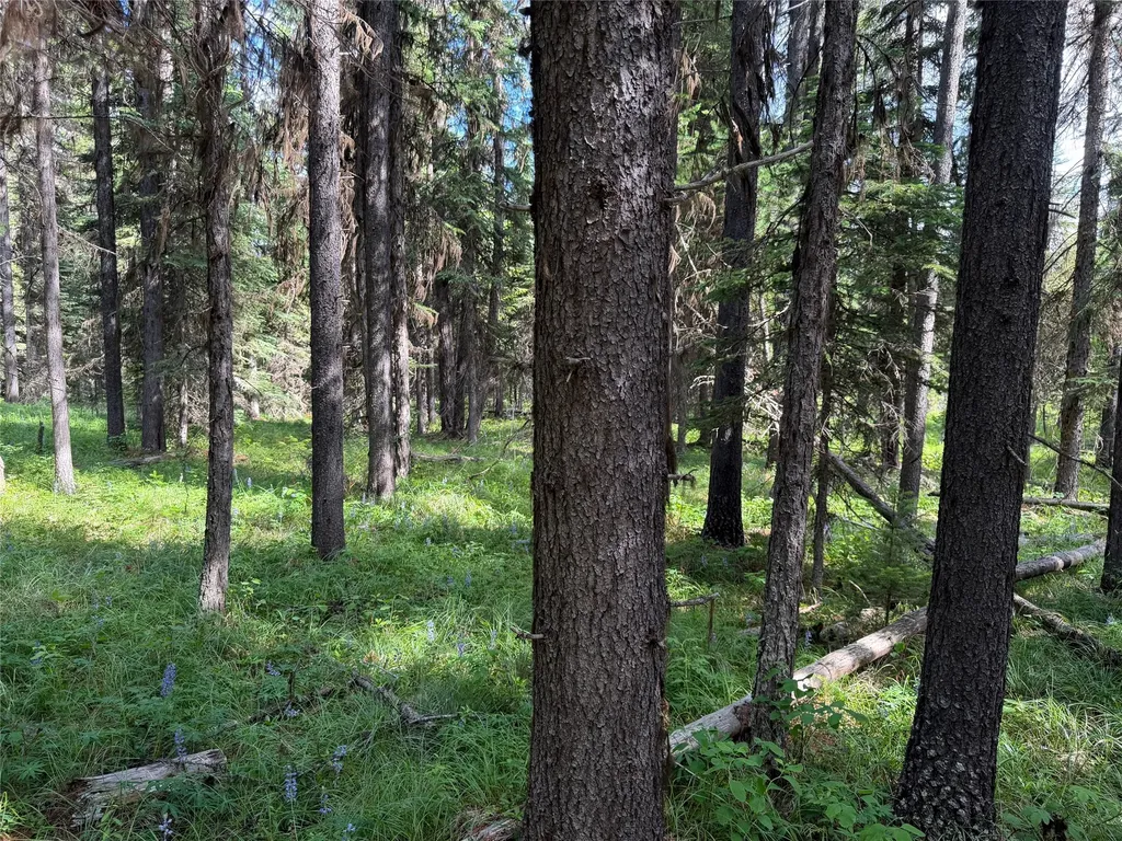 310 Moose Creek Road Polebridge MT 59928