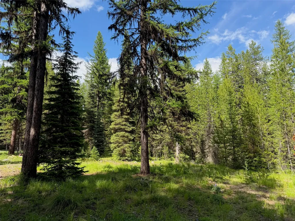 310 Moose Creek Road Polebridge MT 59928