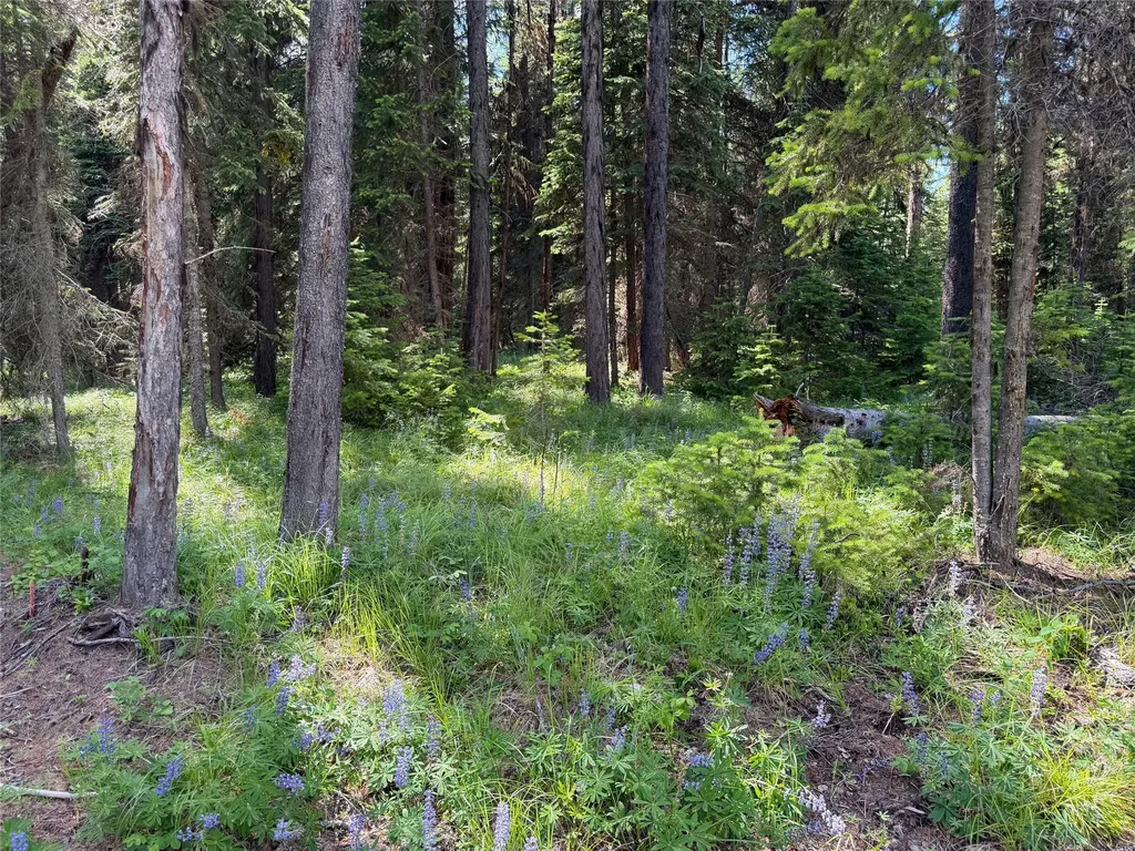 310 Moose Creek Road Polebridge MT 59928