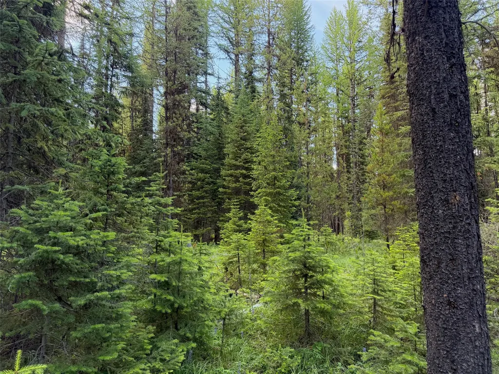 310 Moose Creek Road Polebridge MT 59928