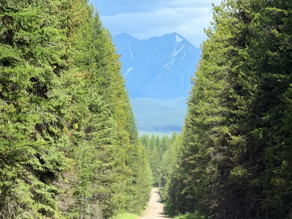 310 Moose Creek Road Polebridge MT 59928