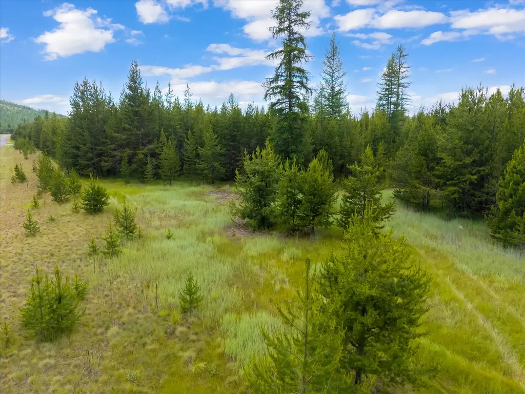 52 C W Mitchell Court Marion MT 59925