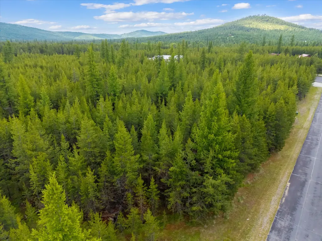 52 C W Mitchell Court Marion MT 59925