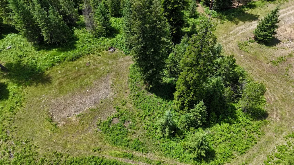 13 Bayside Lane Trout Creek MT 59874
