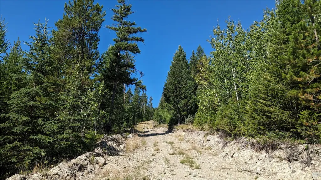 76 Hodge Ridge Kila MT 59920