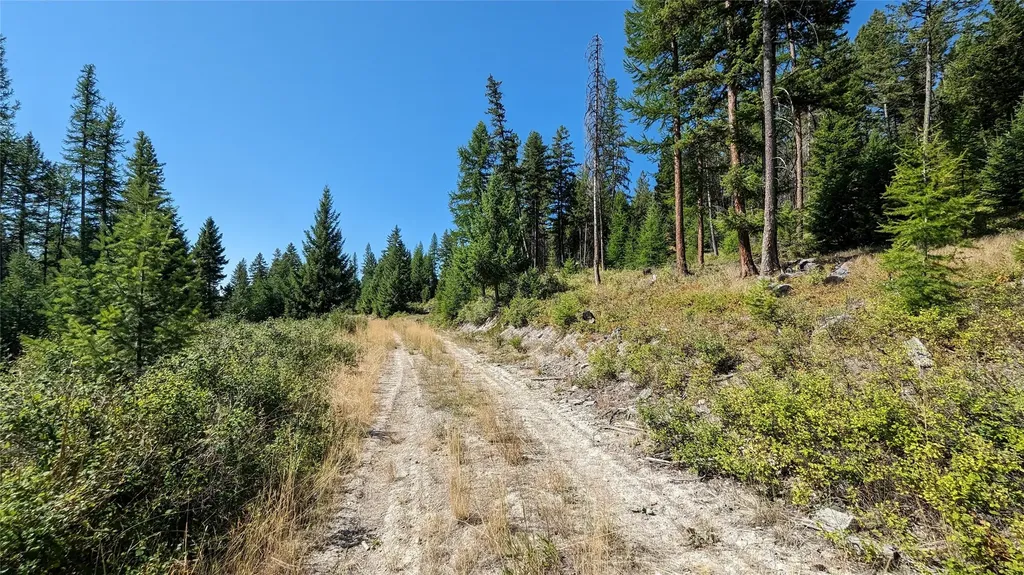 76 Hodge Ridge Kila MT 59920