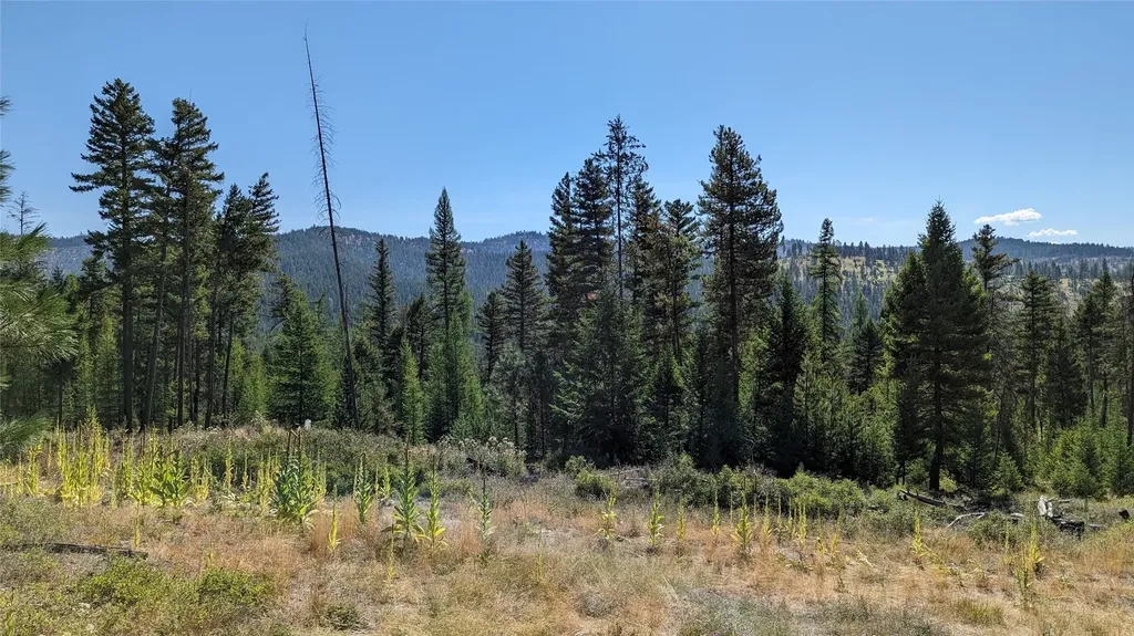 76 Hodge Ridge Kila MT 59920