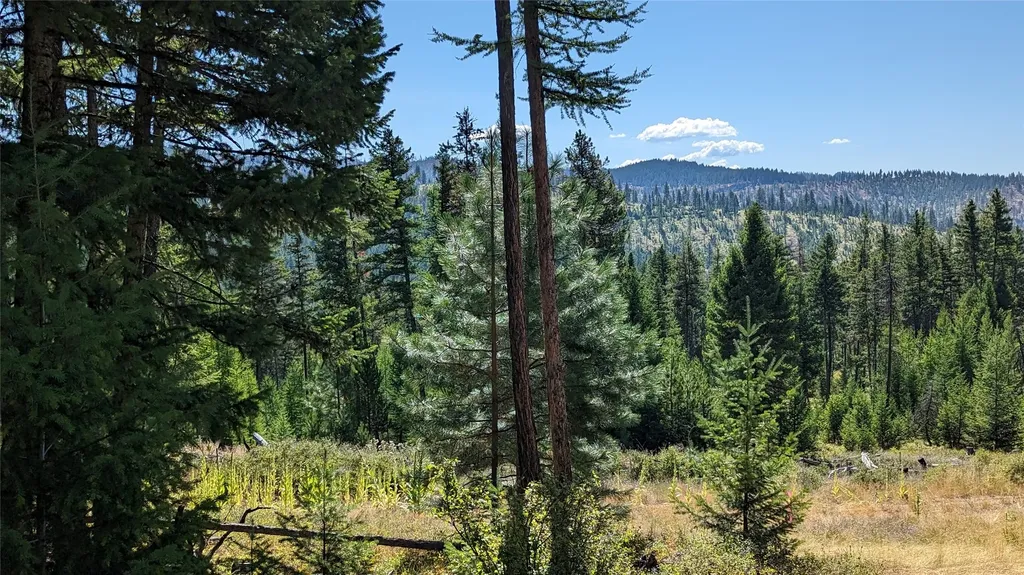 76 Hodge Ridge Kila MT 59920