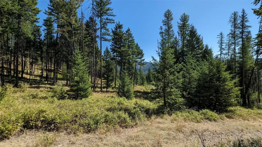 76 Hodge Ridge Kila MT 59920