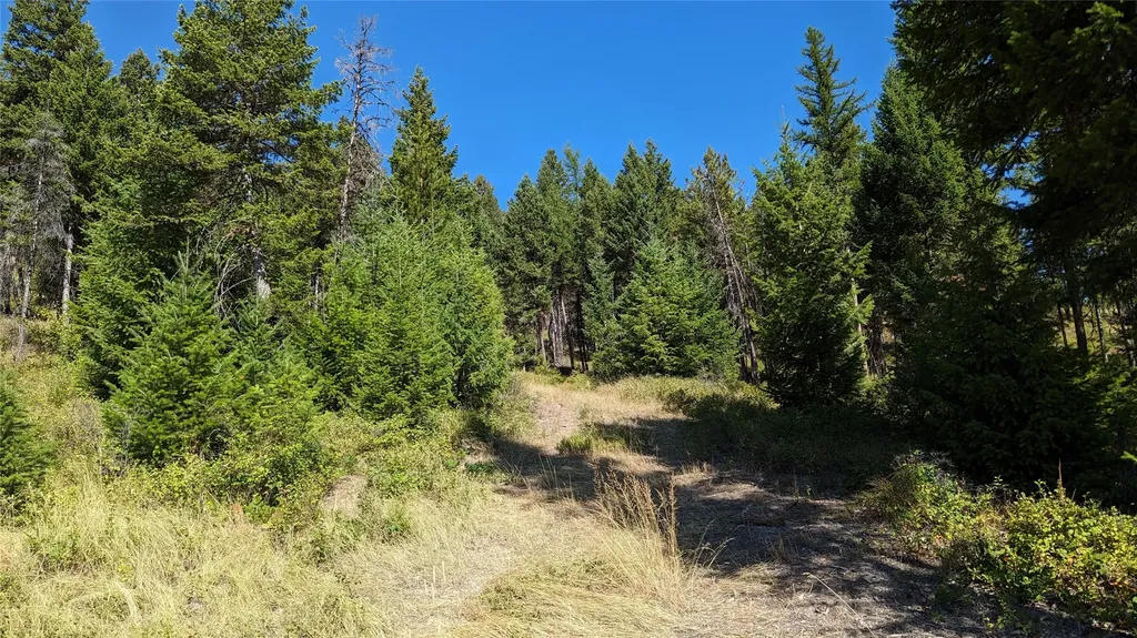 76 Hodge Ridge Kila MT 59920