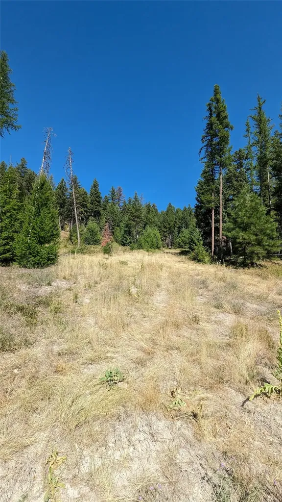 76 Hodge Ridge Kila MT 59920