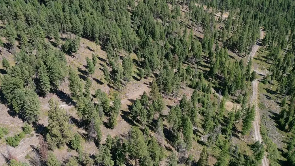 76 Hodge Ridge Kila MT 59920