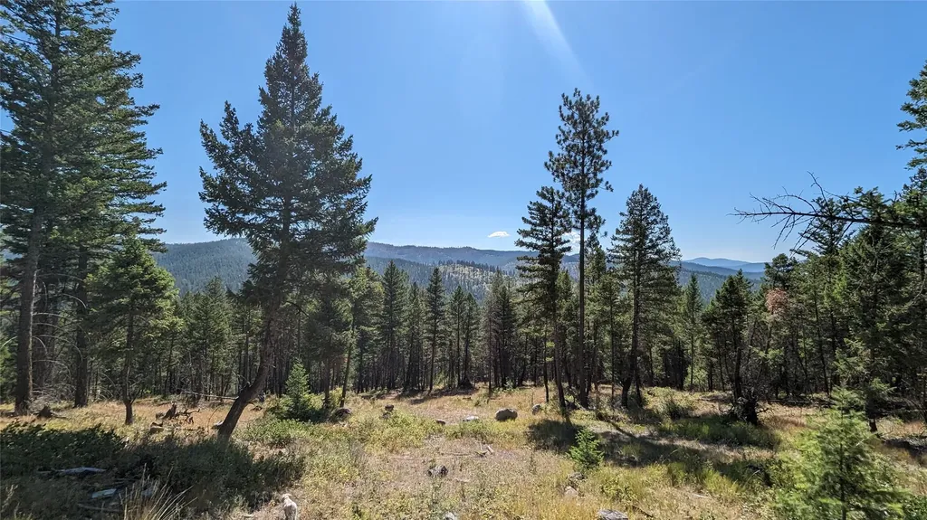 76 Hodge Ridge Kila MT 59920