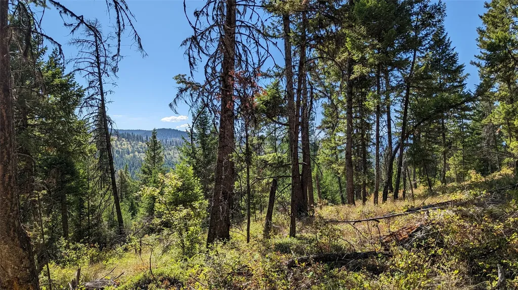 76 Hodge Ridge Kila MT 59920