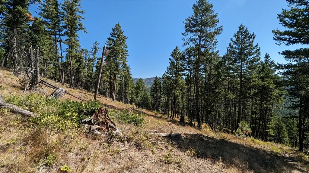 76 Hodge Ridge Kila MT 59920