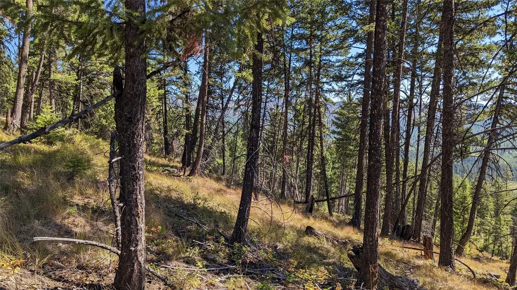 76 Hodge Ridge Kila MT 59920