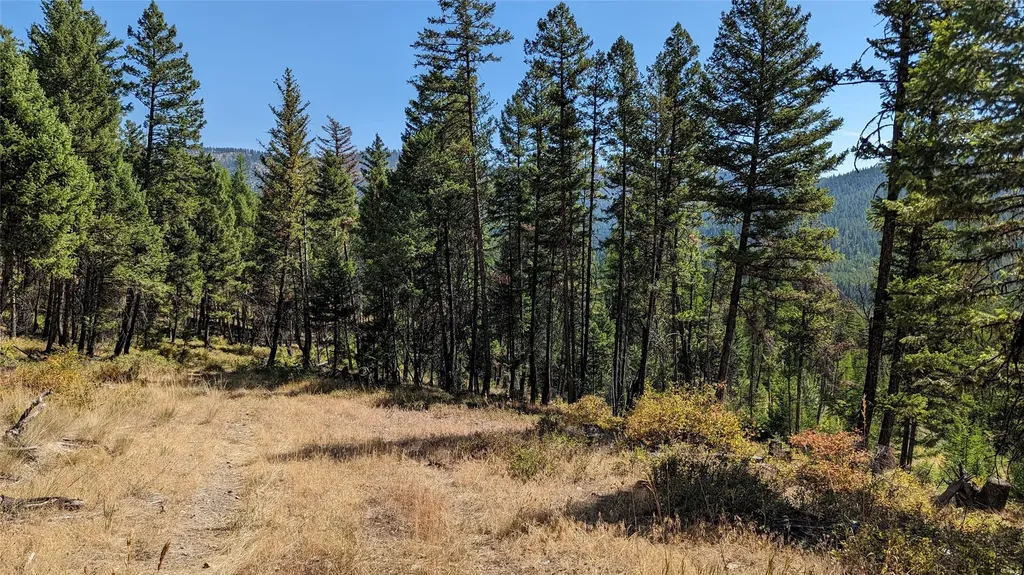 76 Hodge Ridge Kila MT 59920