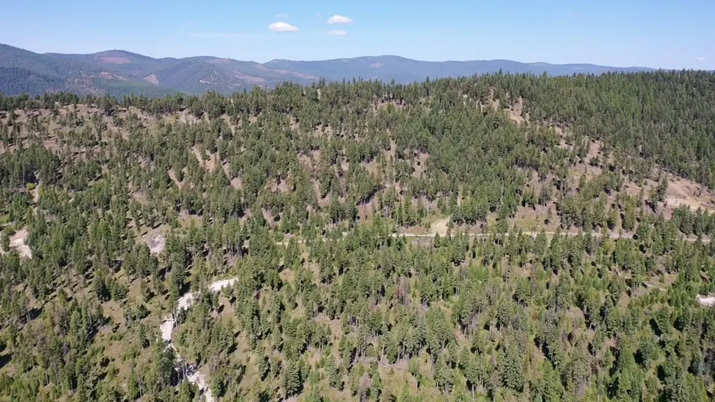 76 Hodge Ridge Kila MT 59920
