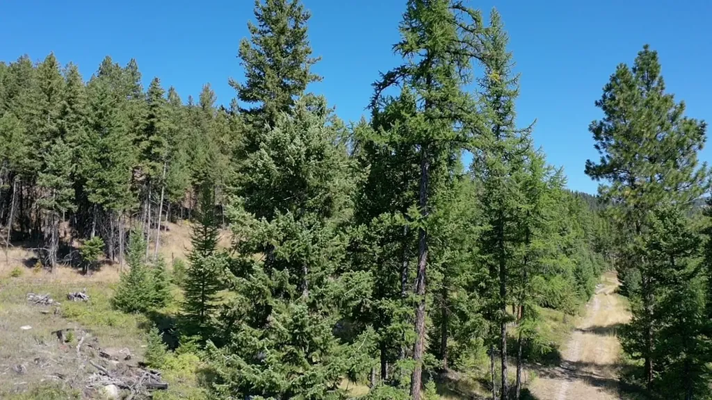 76 Hodge Ridge Kila MT 59920