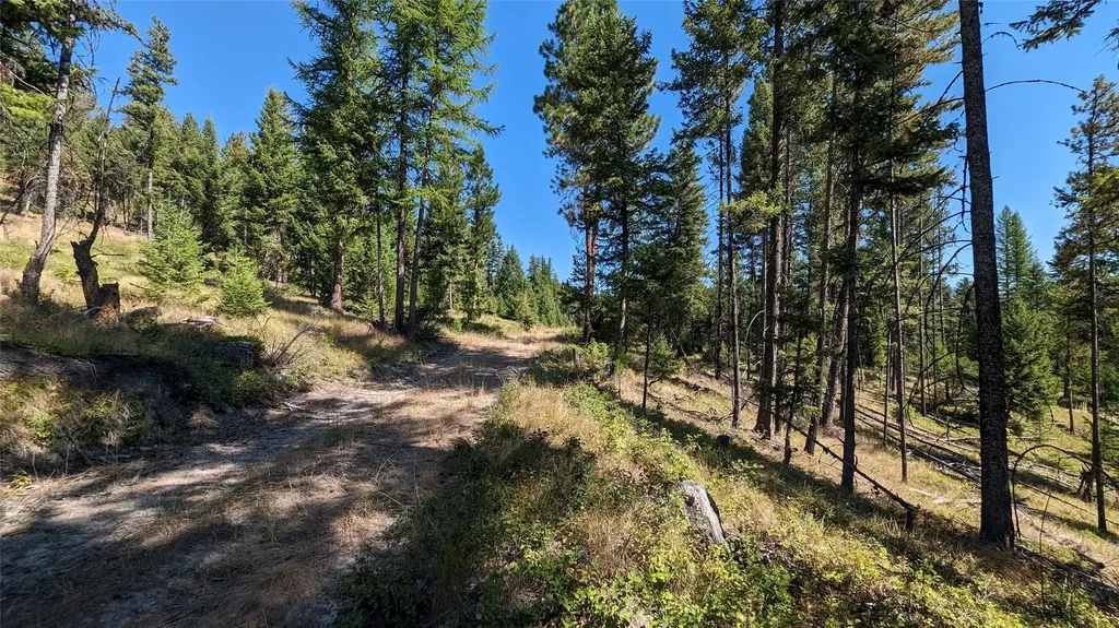 76 Hodge Ridge Kila MT 59920