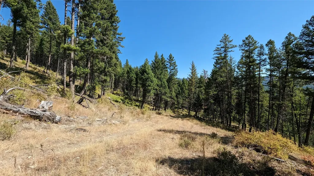 76 Hodge Ridge Kila MT 59920