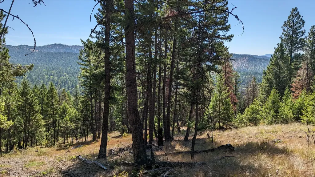 76 Hodge Ridge Kila MT 59920