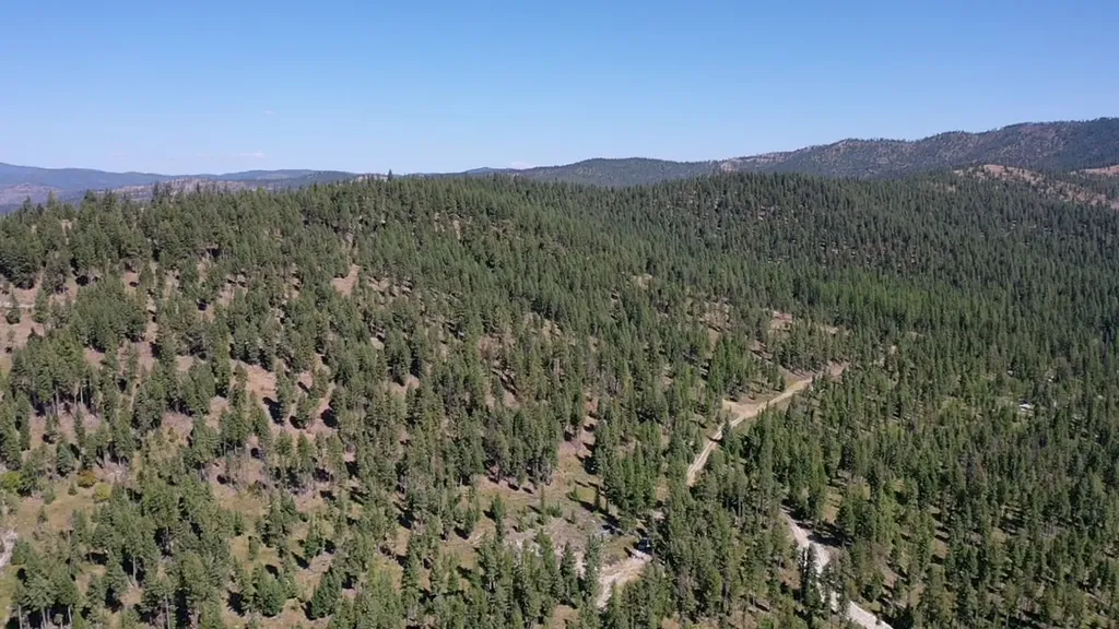 76 Hodge Ridge Kila MT 59920