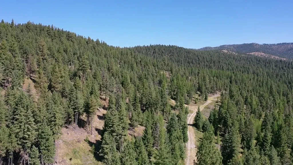 76 Hodge Ridge Kila MT 59920