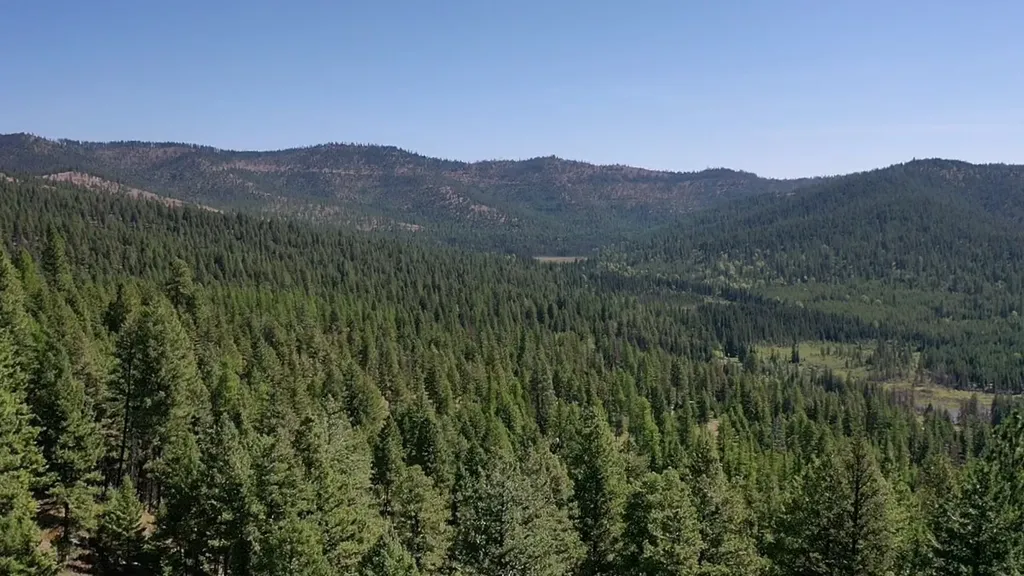 76 Hodge Ridge Kila MT 59920