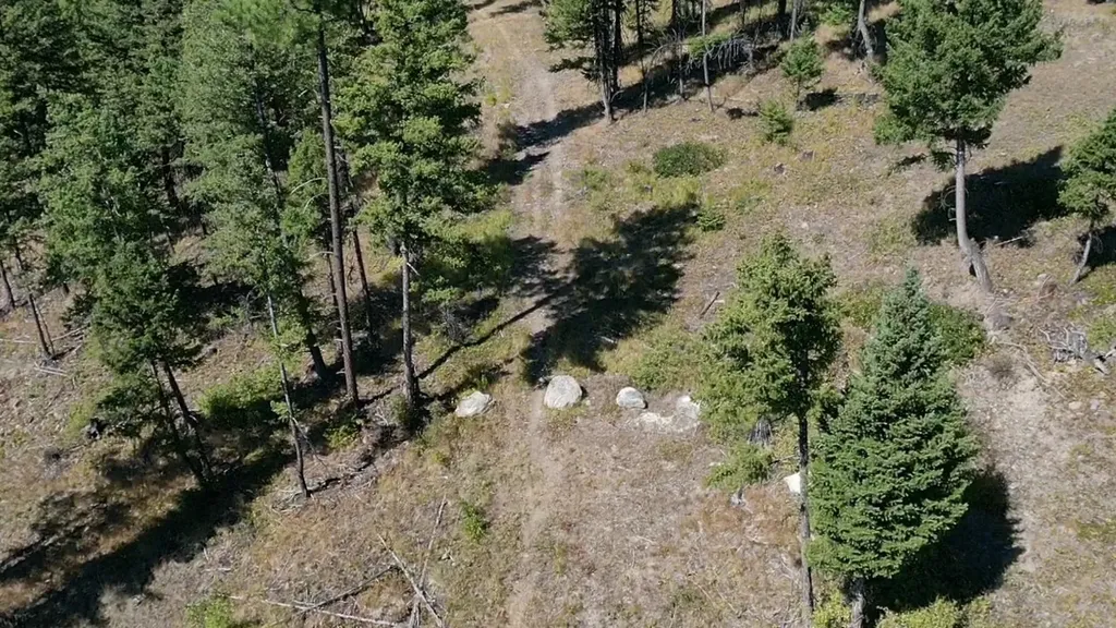 76 Hodge Ridge Kila MT 59920