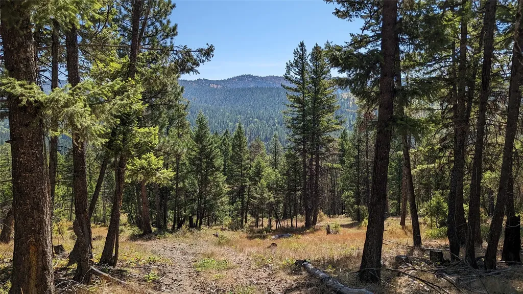 76 Hodge Ridge Kila MT 59920