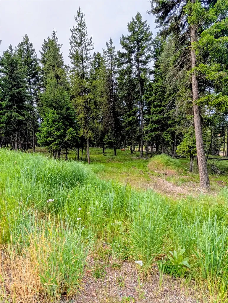 304 Seclusion Point Seeley Lake MT 59868