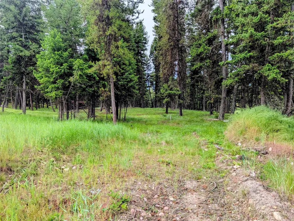 304 Seclusion Point Seeley Lake MT 59868