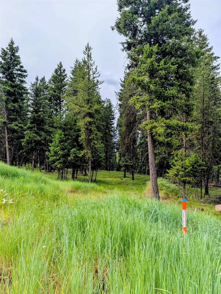 304 Seclusion Point Seeley Lake MT 59868