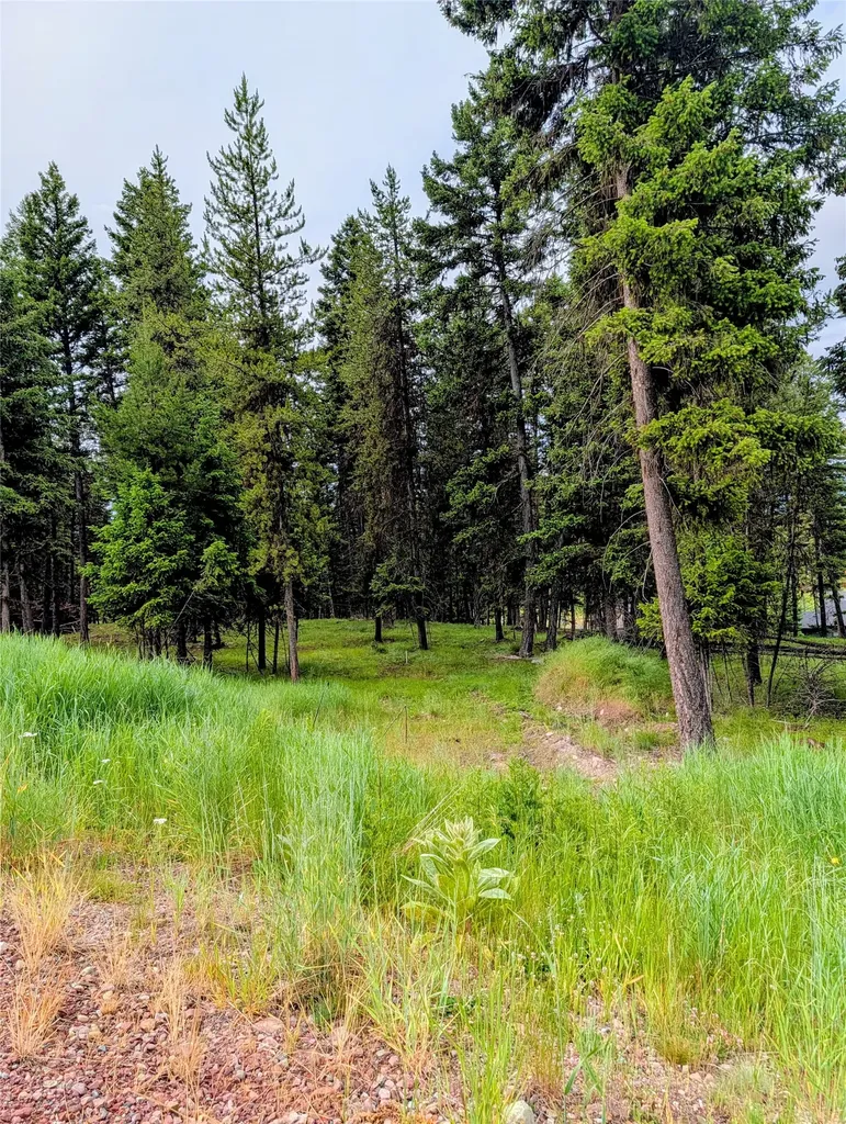 304 Seclusion Point Seeley Lake MT 59868