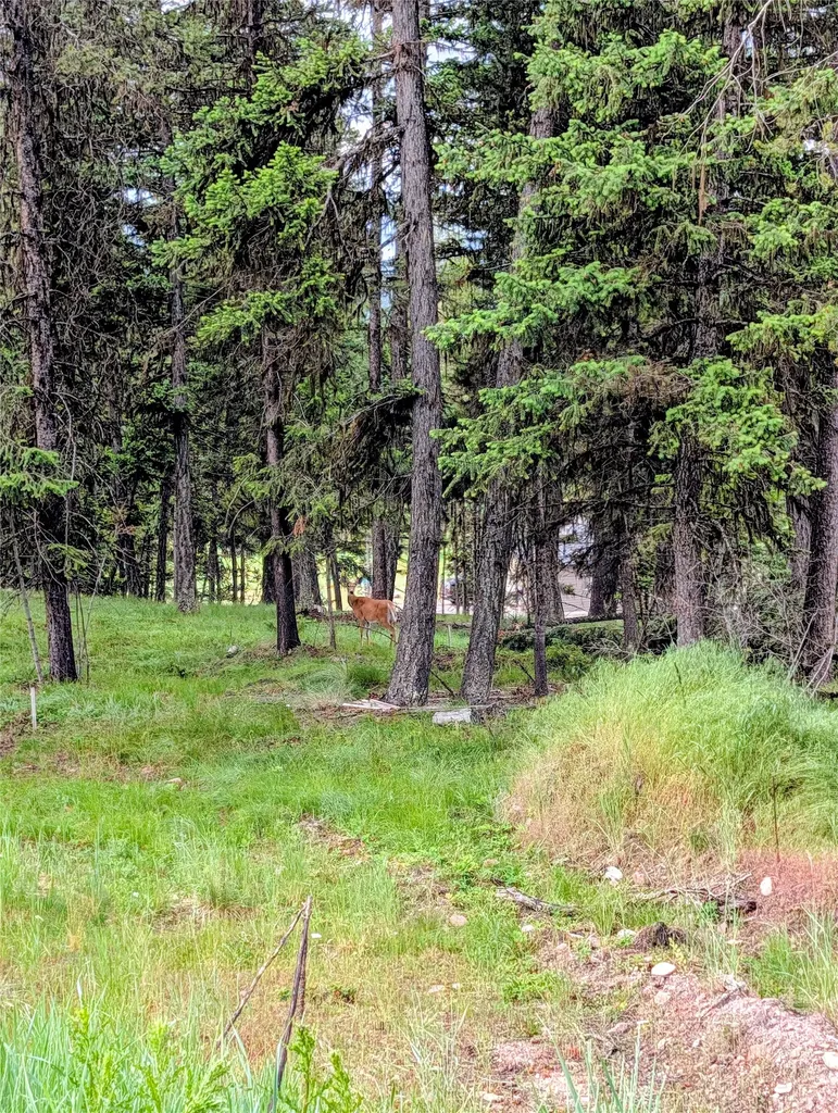 304 Seclusion Point Seeley Lake MT 59868