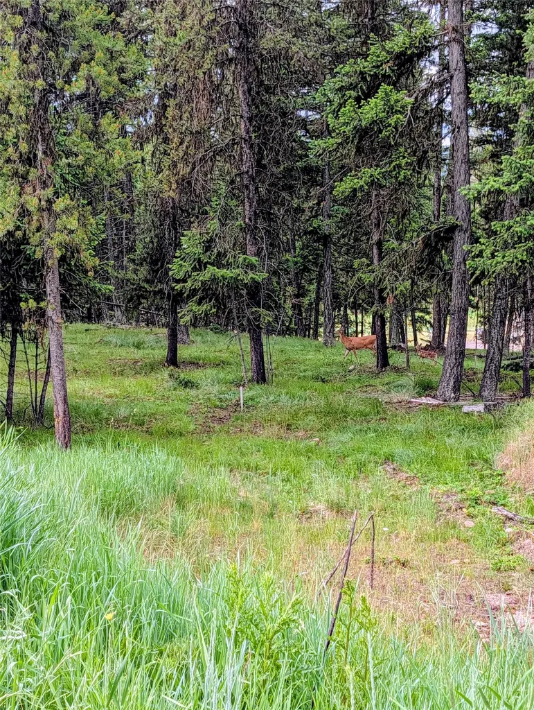 304 Seclusion Point Seeley Lake MT 59868