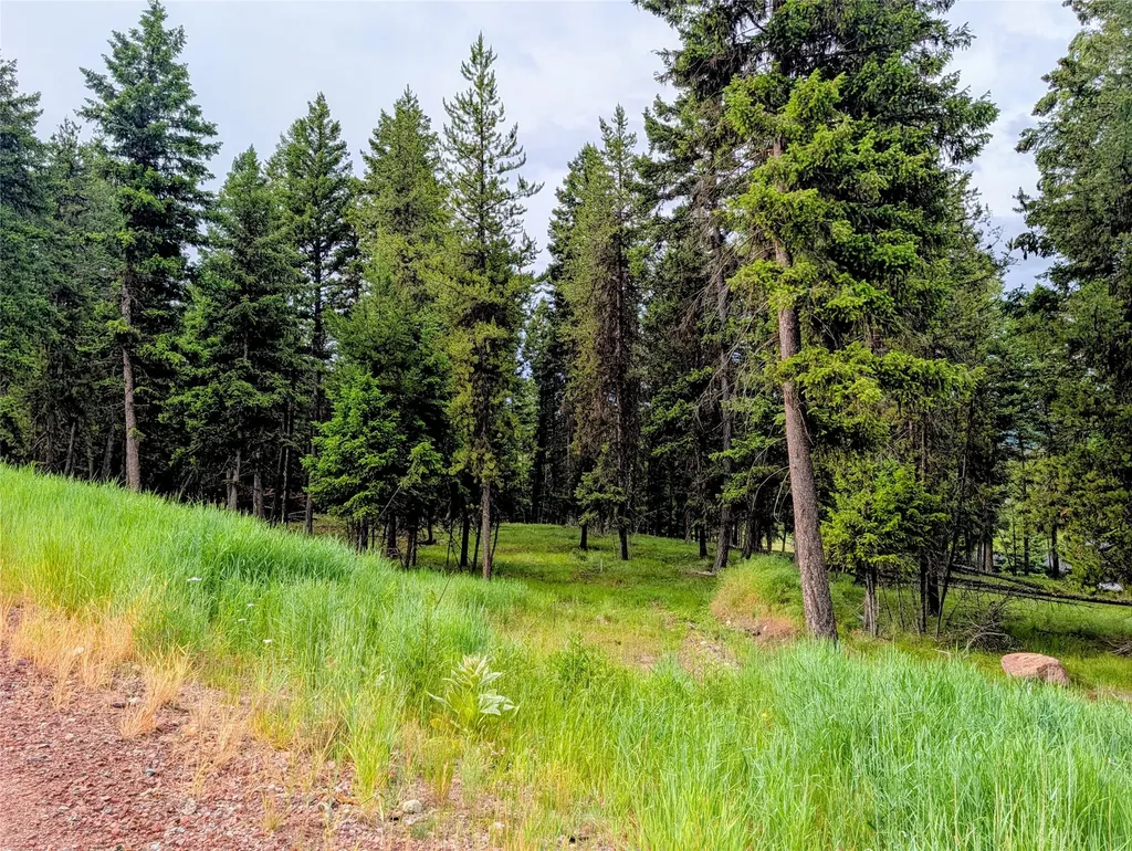 304 Seclusion Point Seeley Lake MT 59868