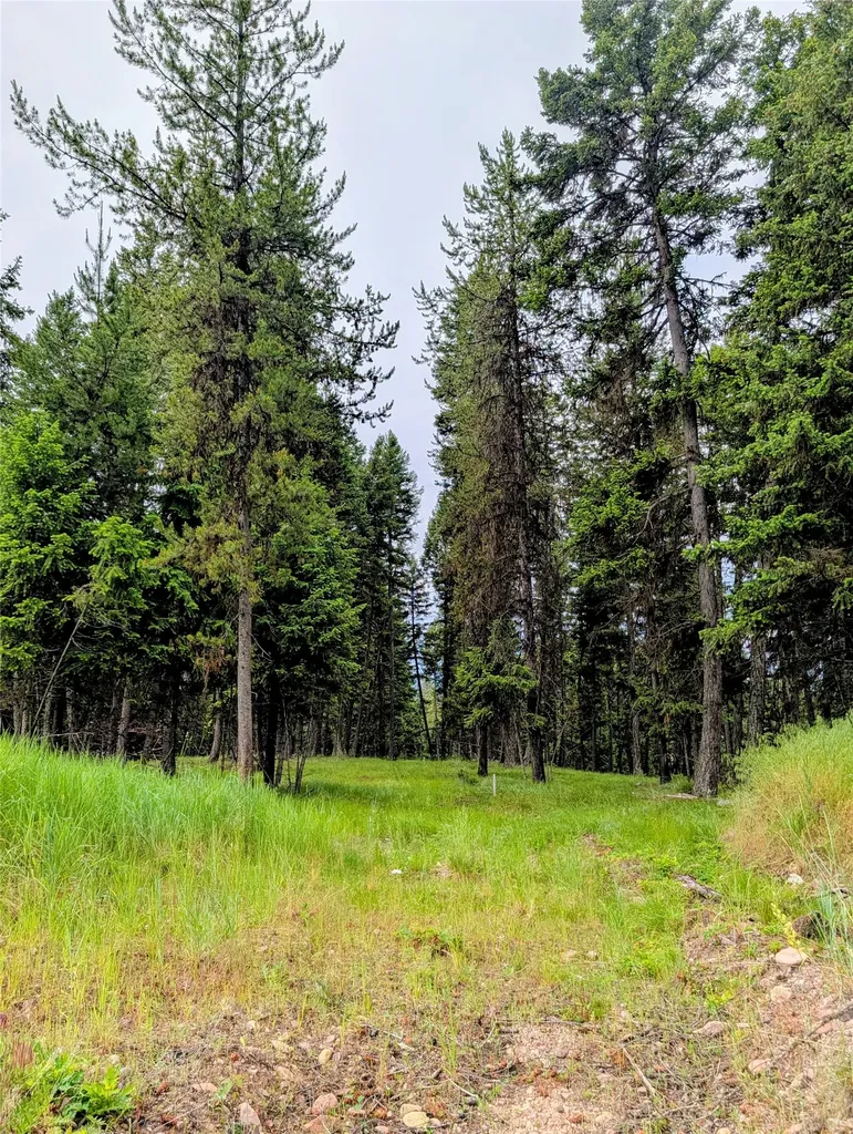 304 Seclusion Point Seeley Lake MT 59868