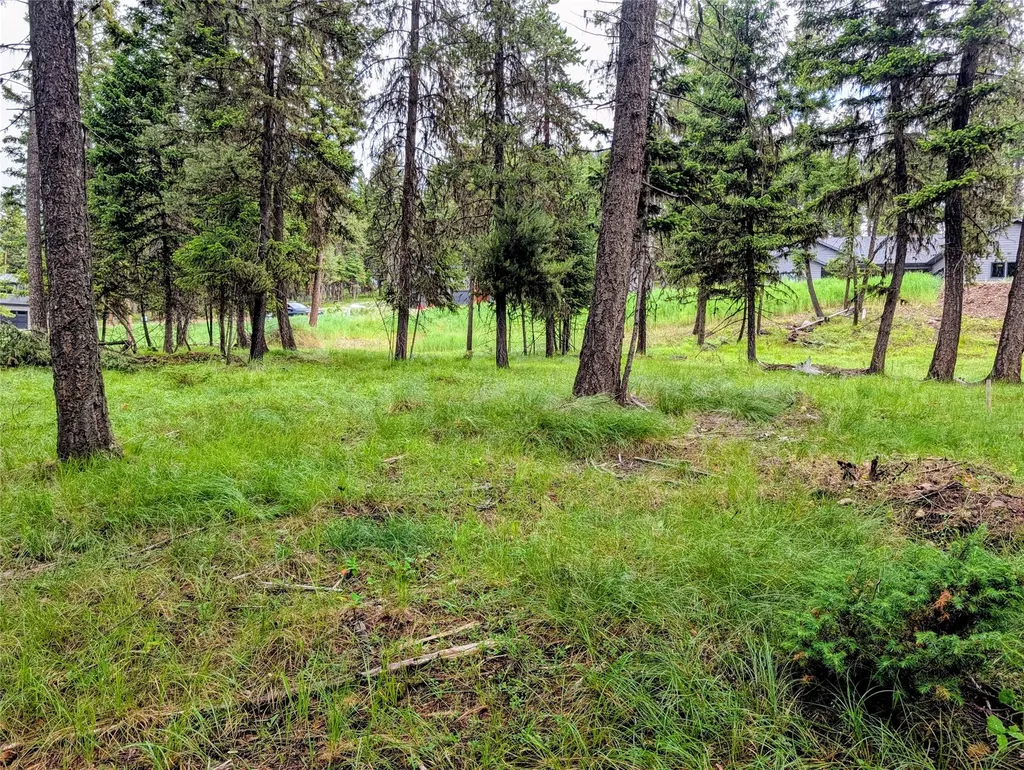 304 Seclusion Point Seeley Lake MT 59868