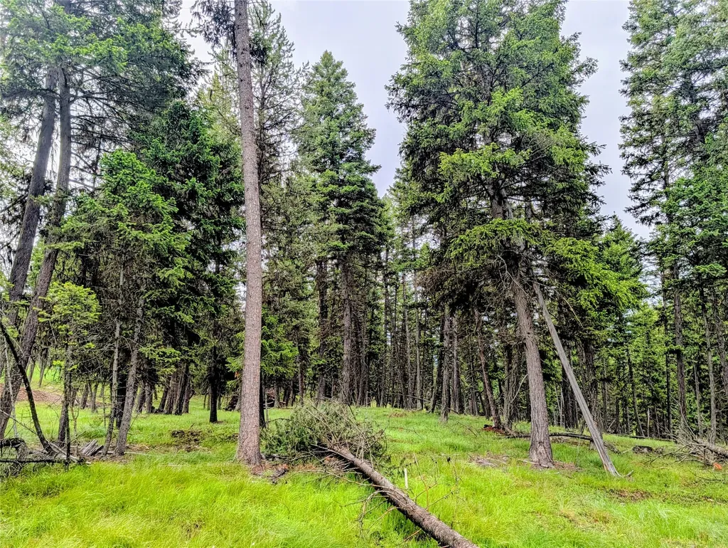304 Seclusion Point Seeley Lake MT 59868