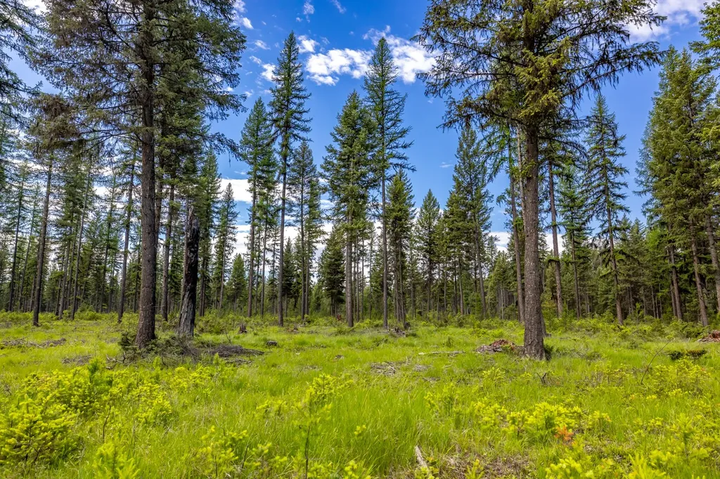 Nhn Us Hwy 93 N Olney MT 59927