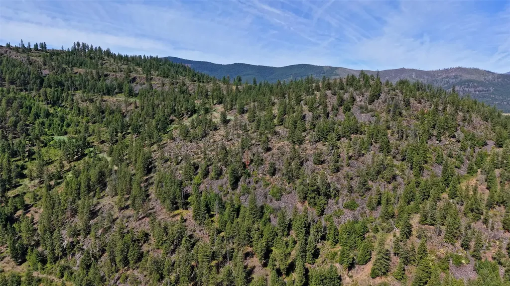 Nhn Tract 2 & Tract 3 Plains MT 59859