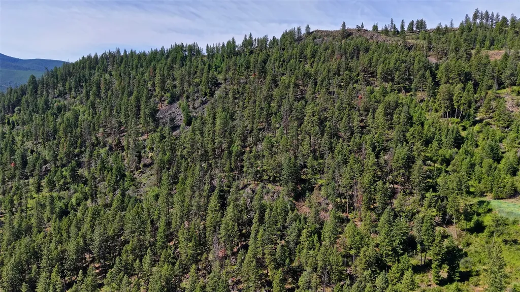 Nhn Tract 2 & Tract 3 Plains MT 59859