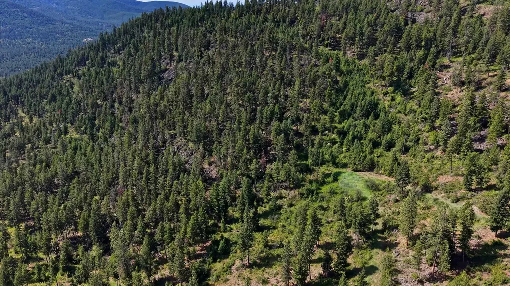 Nhn Tract 2 & Tract 3 Plains MT 59859