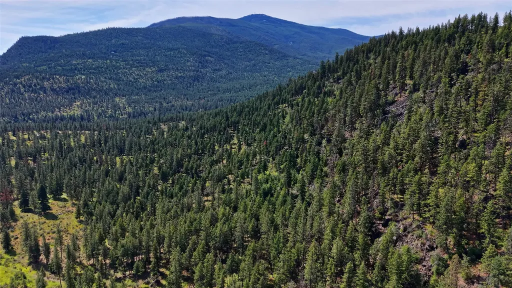 Nhn Tract 2 & Tract 3 Plains MT 59859