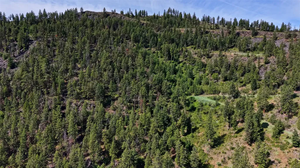 Nhn Tract 2 & Tract 3 Plains MT 59859