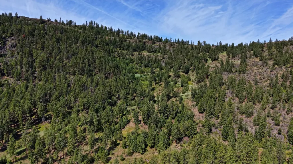 Nhn Tract 2 & Tract 3 Plains MT 59859